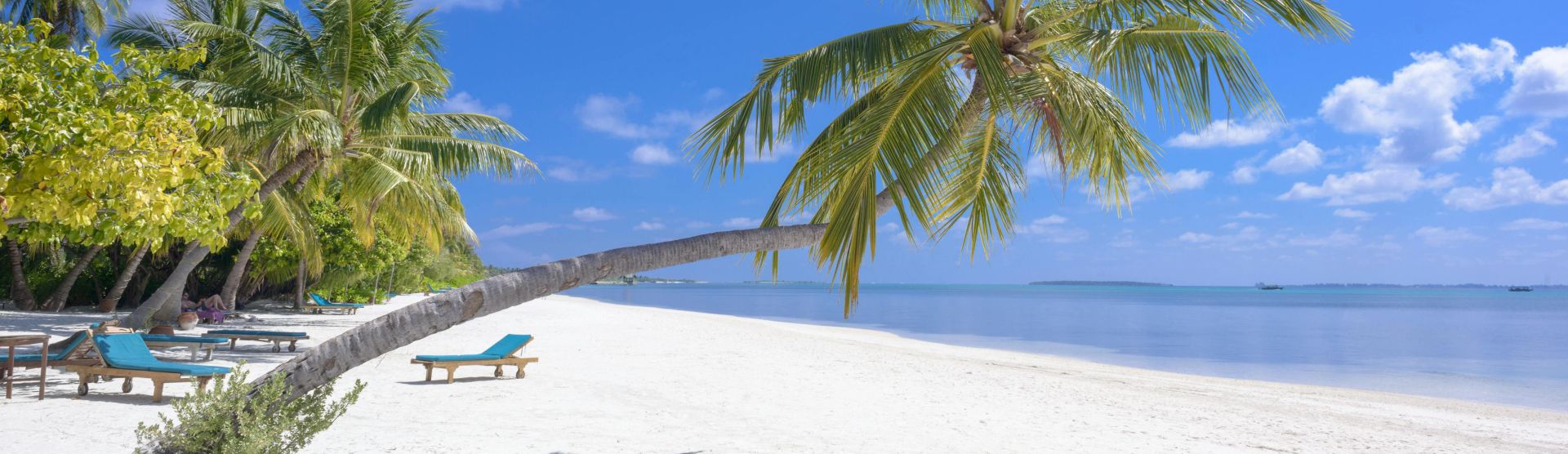 Breathtaking tropical beach scene in the Maldives with palm trees and serene blue waters.